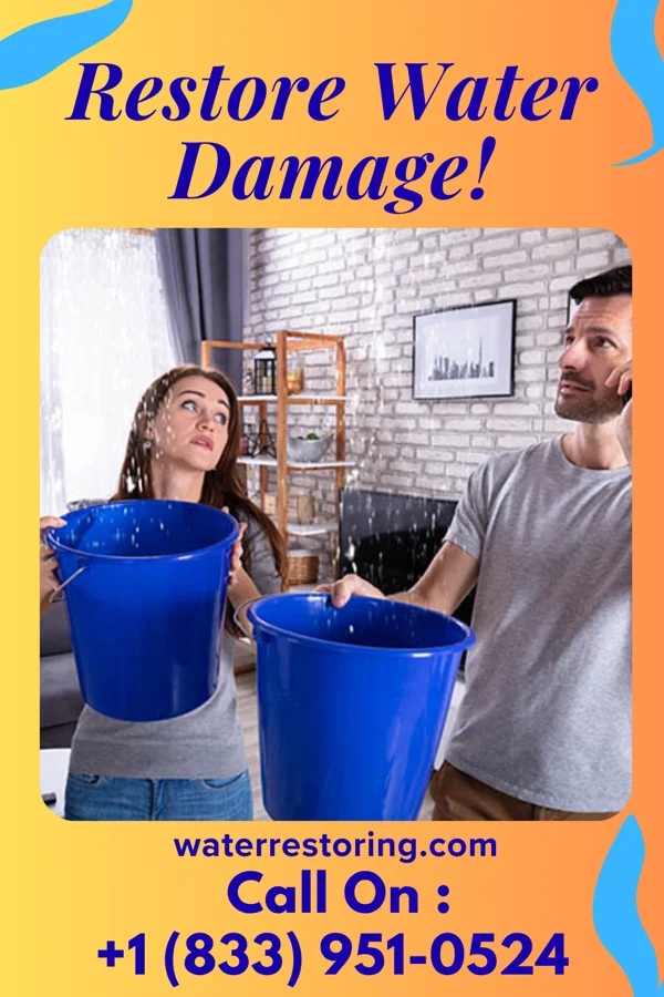 water restoration Diamond Water Cleanup Inc Elgin