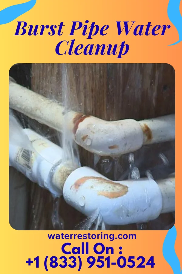 Burst Pipe Water Cleanup in Elgin, PA