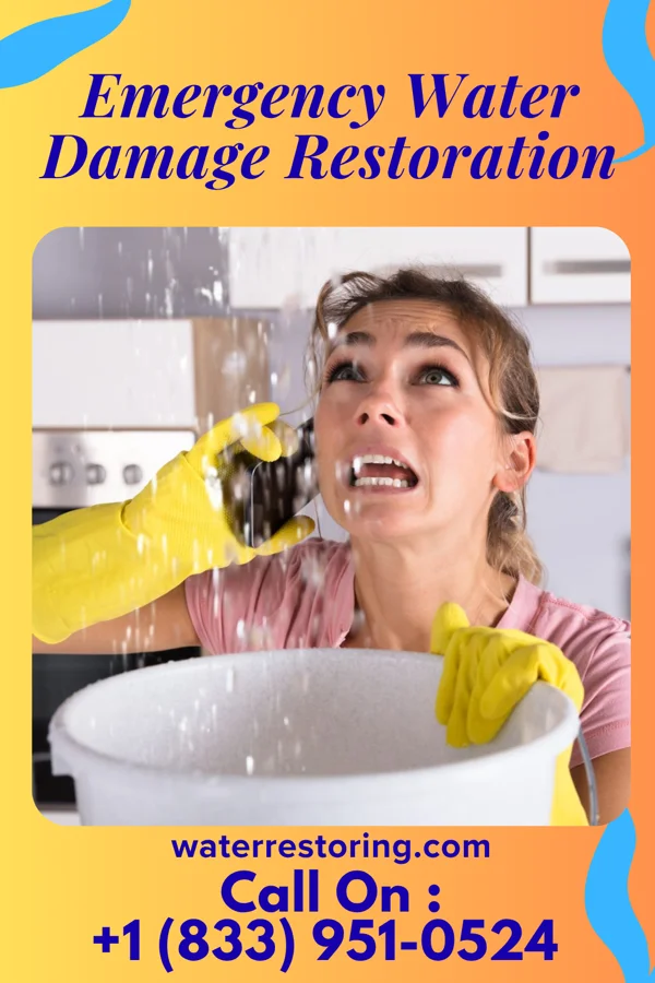 Emergency Water Damage Restoration in Elgin, PA