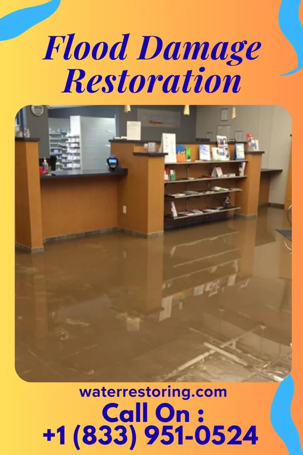 Flood Damage Restoration in Elgin, PA