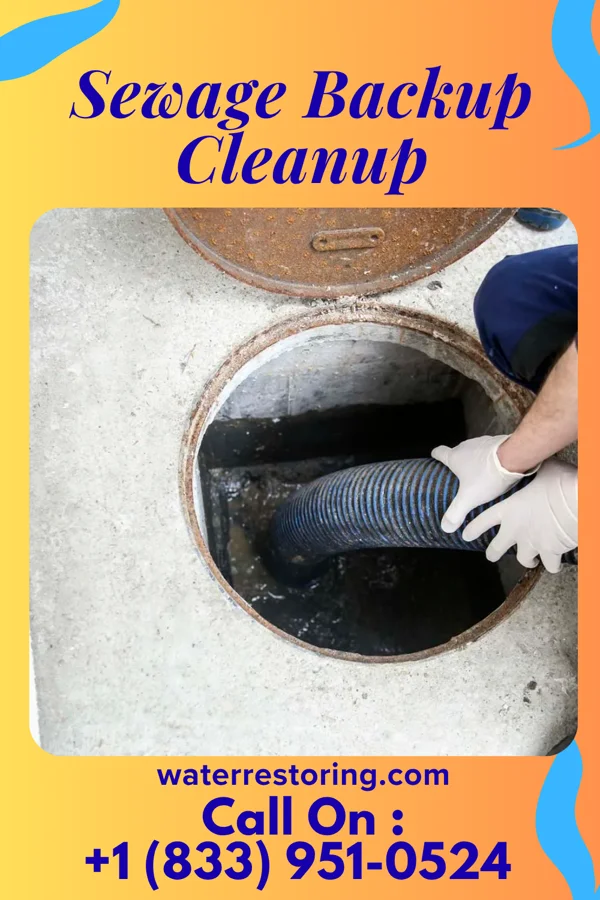 Sewage Backup Cleanup in Elgin, PA