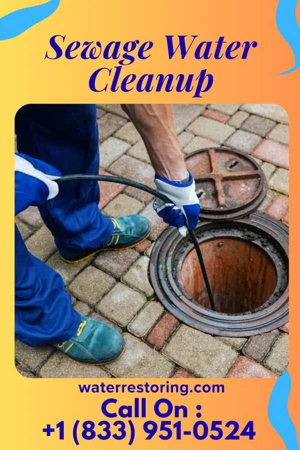 Sewage Water Cleanup in Elgin, PA